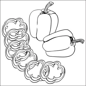 Vector illustration of bell pepper Stock Illustration