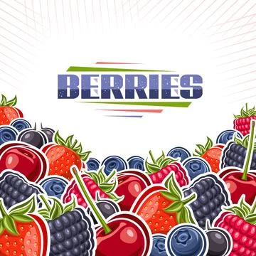 Vector illustration of Berries Stock Illustration