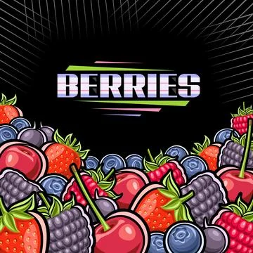 Vector illustration of Berries Stock Illustration