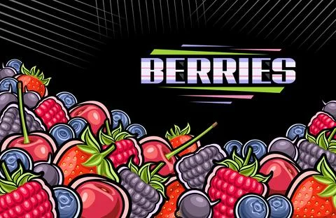 Vector illustration of Berries Stock Illustration