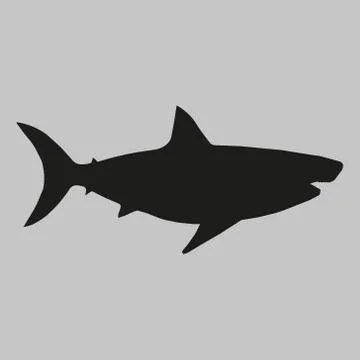 Vector illustration of big white hark silhouette. Stock Illustration