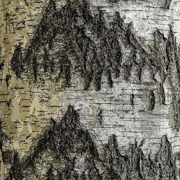 Vector illustration of Birch bark texture. The texture of the birch bark. B.. Stock Illustration