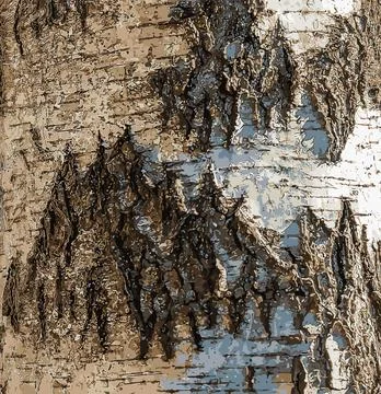 Vector illustration of Birch bark texture. The texture of the birch bark. B.. Stock Illustration