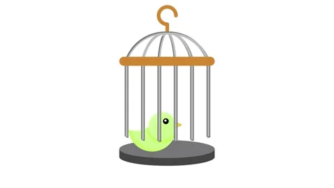 Vector illustration of a bird inside a cage, showcasing the bird's vibrant .. Stock Footage 332457718