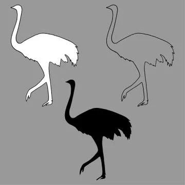 Vector illustration black and white silhouette of an ostrich Stock Illustration
