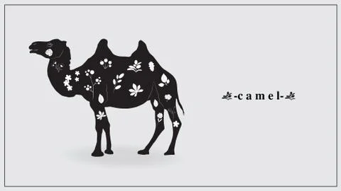 Vector illustration of a black camel with white flowers and plants. EPS 10. Stock Illustration