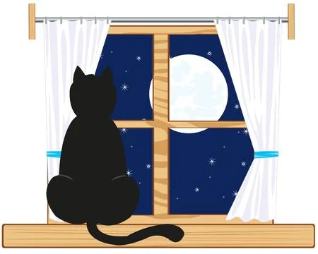 Vector illustration of the black cat sitting on window in the night Stock Illustration