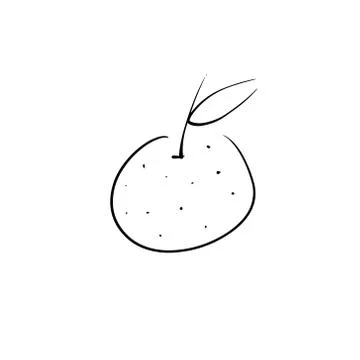Vector illustration. Black contour element. Mandarin or tangerine isolated on Stock Illustration