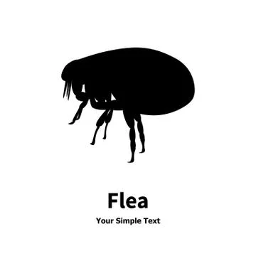 Vector illustration of black fleas Illustrazione stock