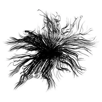 Vector illustration. Black lines outgoing from the center. Stock Illustration