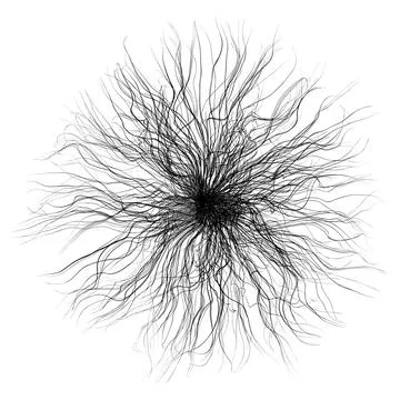 Vector illustration. Black lines outgoing from the center. Stock Illustration