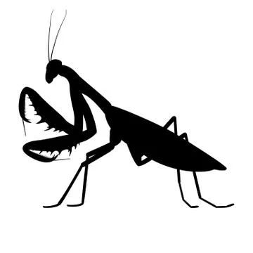Vector illustration black silhouette of a mantis Stock Illustration