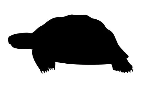 Vector illustration black silhouette of a turtle Stock Illustration