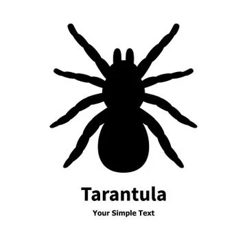 Vector illustration of a black spider tarantula Stock Illustration