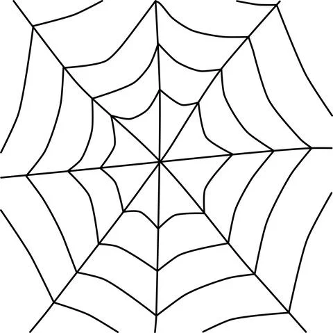 Vector illustration of a black spider web on a white background Stock Illustration