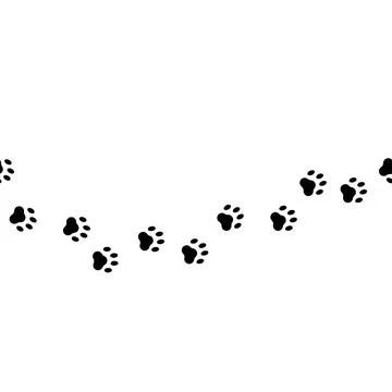 Vector illustration. Black-white seamless pattern. Cat paws. イラスト素材