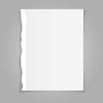 Vector illustration of blank sheet of torn paper. Stock Illustration