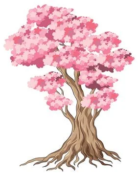 Vector Illustration of a Blooming Pink Cherry Blossom Tree Stock Illustration