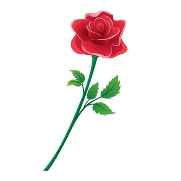 Vector illustration of a blooming red rose. Stock Illustration