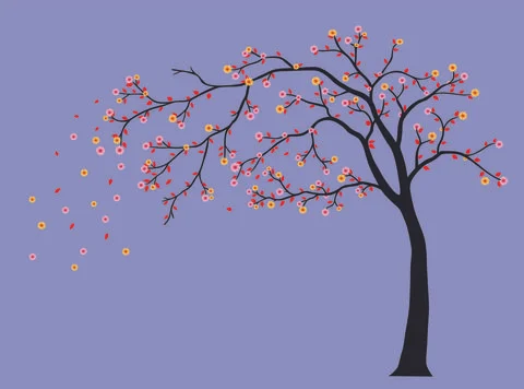 Vector Illustration Blossoming Cherry Tree Stock Illustration