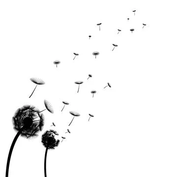 Vector illustration of blowing dandelions Illustrazione stock