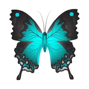 Vector illustration of a blue butterfly Stock Illustration