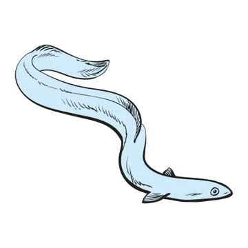 Vector illustration of blue eel fish in sketch style isolated on white Stock Illustration
