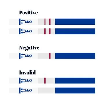 Vector illustration of blue positive, negative and invalid HCG pregnancy test Stock Illustration