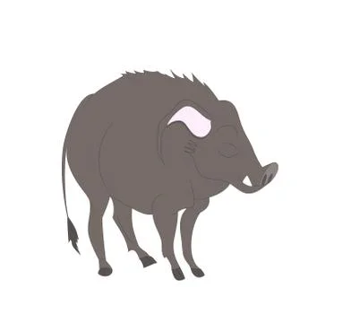 Vector illustration of a boar that stands, drawing color, vector Stock-Illustration