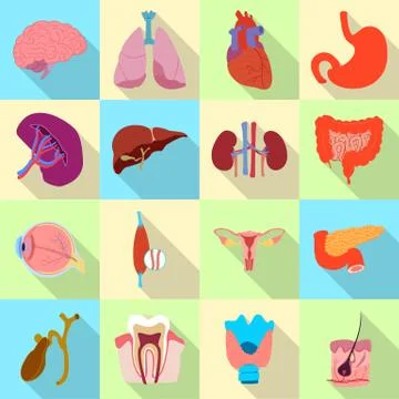 Vector illustration of body and human sign. Collection of body and medical Stock Illustration