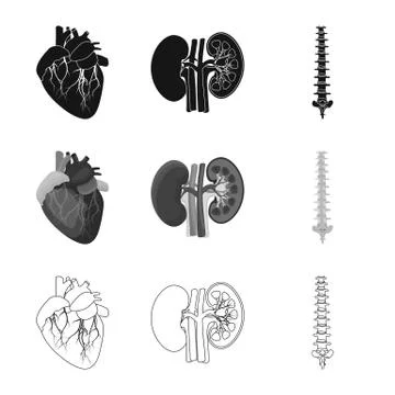 Vector illustration of body and human logo. Set of body and medical vector icon Stock Illustration