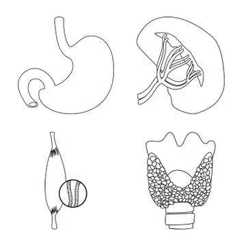 Vector illustration of body and human symbol. Set of body and medical vector Illustrazione stock