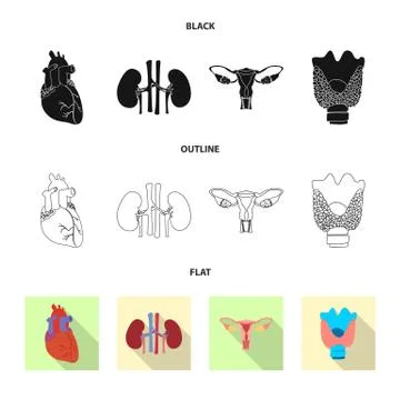 Vector illustration of body and human icon. Set of body and medical stock symbol Illustrazione stock