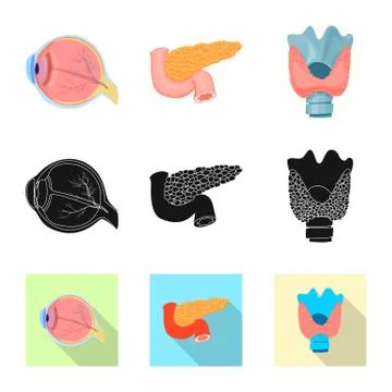Vector illustration of body and human icon. Collection of body and medical stock Illustrazione stock