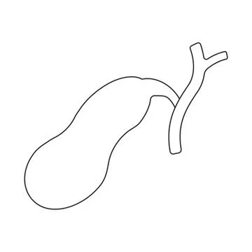 Vector illustration of body and human icon. Collection of body and medical stock Stock Illustration