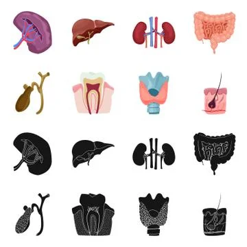 Vector illustration of body and human symbol. Collection of body and medical Illustrazione stock
