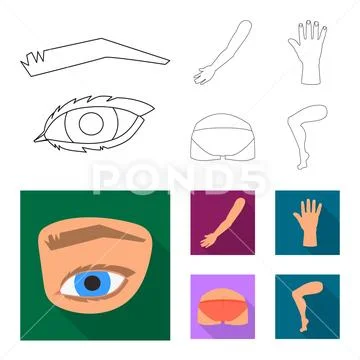 Vector illustration of body and part logo. Set of body and anatomy ...