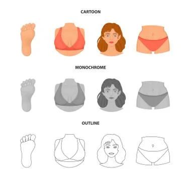 Vector illustration of body and part logo. Collection of body and anatomy stock Stock Illustration
