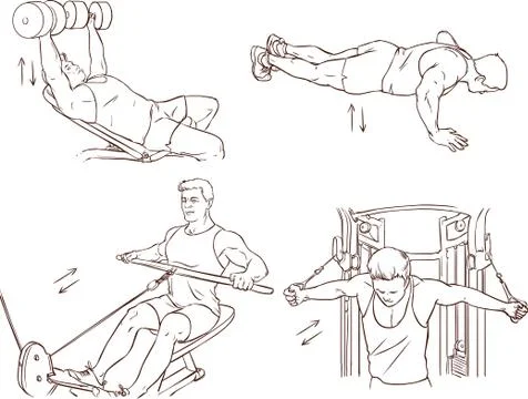 Vector illustration of a bodybuilding exercise Stock Illustration