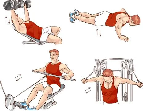 Vector illustration of a bodybuilding exercise Stock Illustration