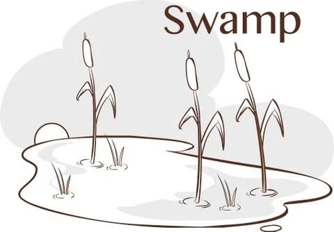Vector Illustration of a  Bog Stock Illustration