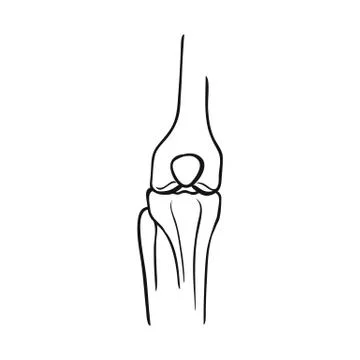 Vector illustration of bone and skeleton icon. Set of bone and human stock Stock Illustration