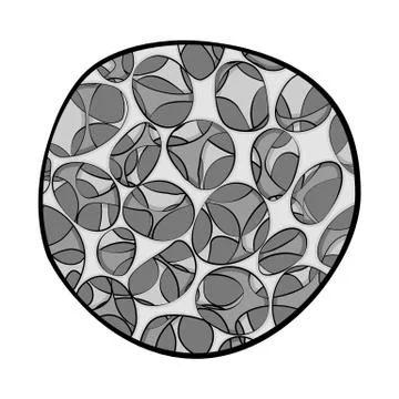 Vector illustration of bone and skeleton symbol. Set of bone and human stock Stock Illustration