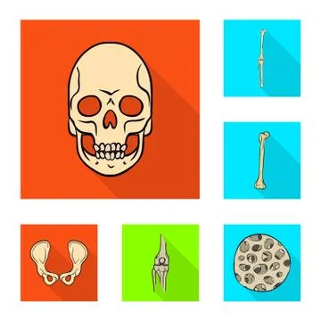 Vector illustration of bone and skeleton logo. Set of bone and human stock Illustrazione stock