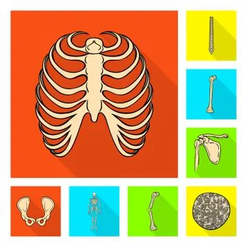 Vector illustration of bone and skeleton symbol. Set of bone and human vector Stock Illustration