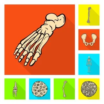 Vector illustration of bone and skeleton symbol. Set of bone and human stock Stock Illustration