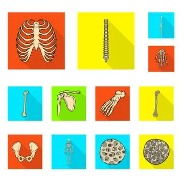 Vector illustration of bone and skeleton symbol. Set of bone and human stock Stock Illustration