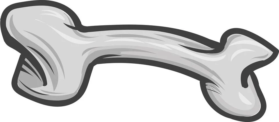 Vector illustration of bone cartoon Stock Illustration