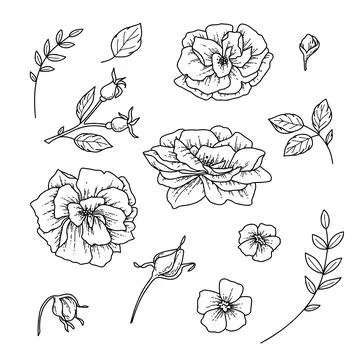 Vector illustration of bouquets doodle hand drawn style. Stock Illustration
