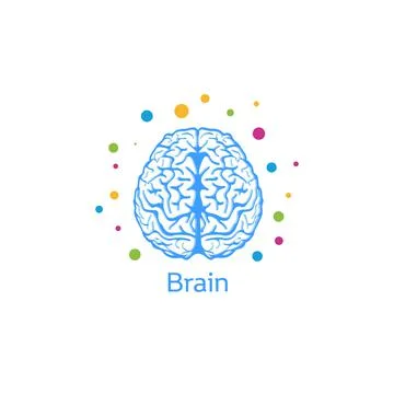 Vector illustration of a brain image of a person or a large animal in a light Stock Illustration
